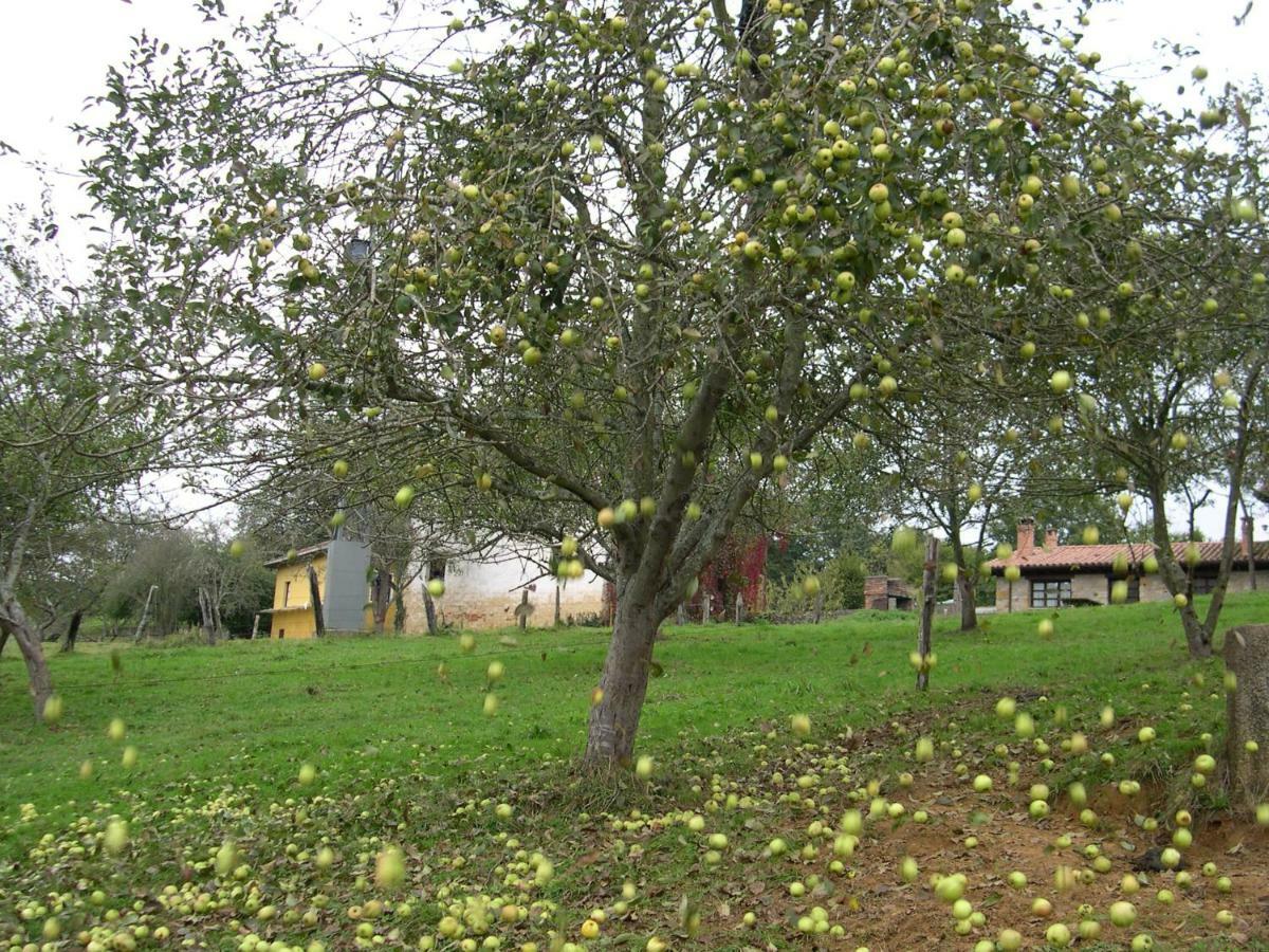 Turismo Rural El Sidron Guest House Pilona ภายนอก รูปภาพ